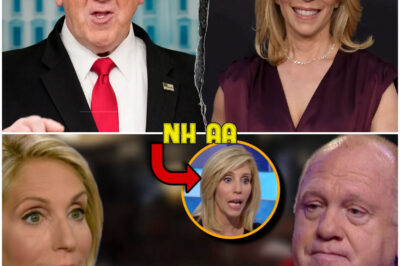“CNN Descends Into Utter Chaos as Dana Bash Publicly Loses Her Cool and Storms Off Set in Fiery Showdown—Tom Homan’s Blistering, No-Holds-Barred Attack on Her Views About Mass Deportations Leaves the Host Humiliated, Sparks a Frenzied War of Words On-Air, and Exposes Deep Rifts in the Media’s Immigration Narrative, Forcing Millions of Stunned Viewers to Ask: Has the Truth Finally Broken Through the TV Screen?”
